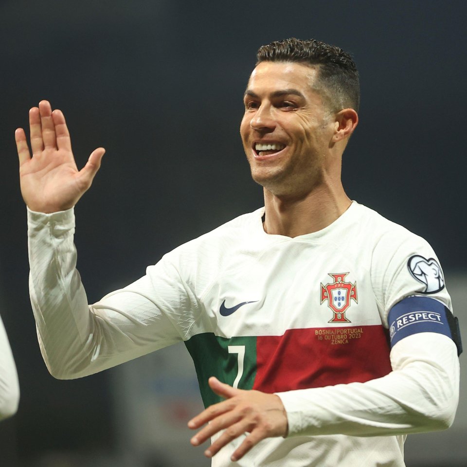 波黑擒葡萄牙,小组出线局势逐渐明朗的简单介绍