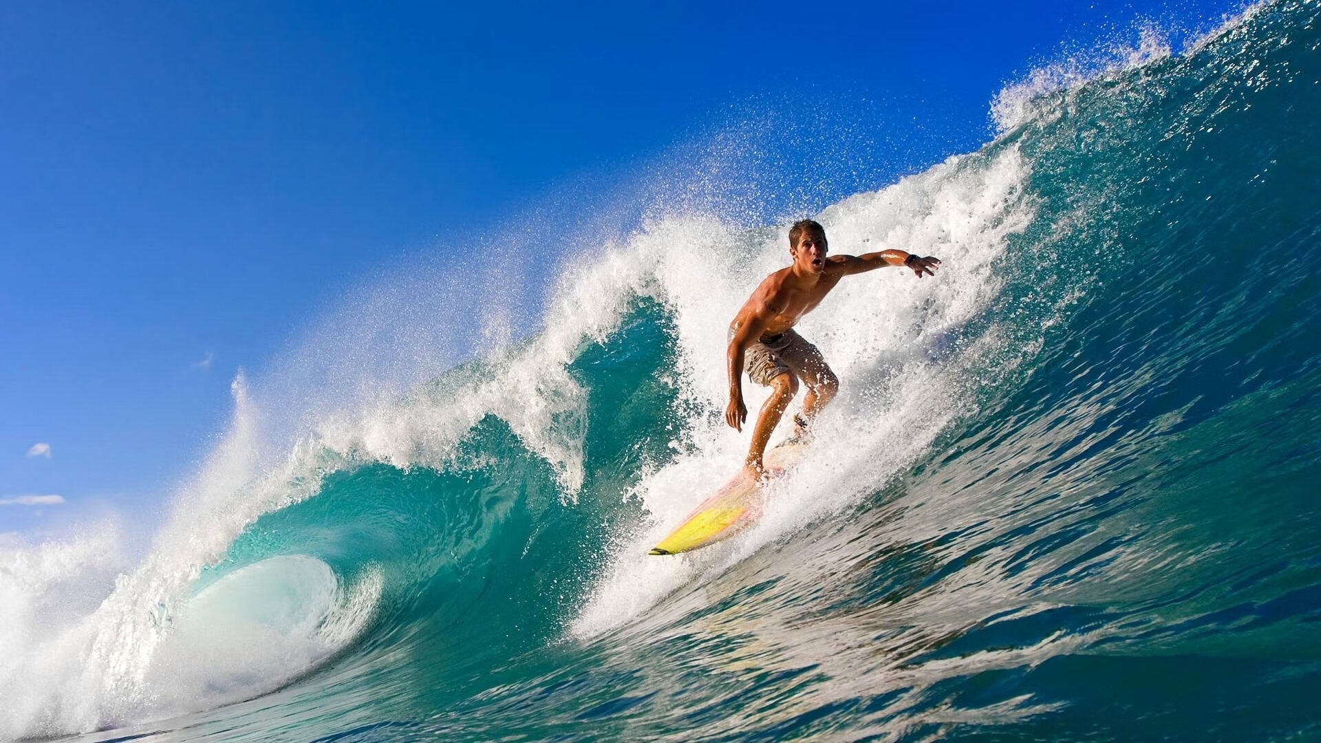 莱万多夫斯基意外战胜TL,夺冠引爆全场!热度持续攀升